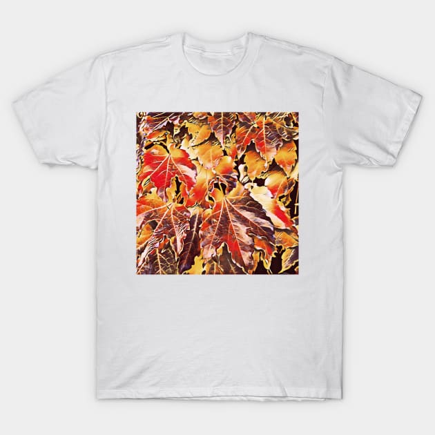 Vivid Autumn Leaves T-Shirt by DANAROPER